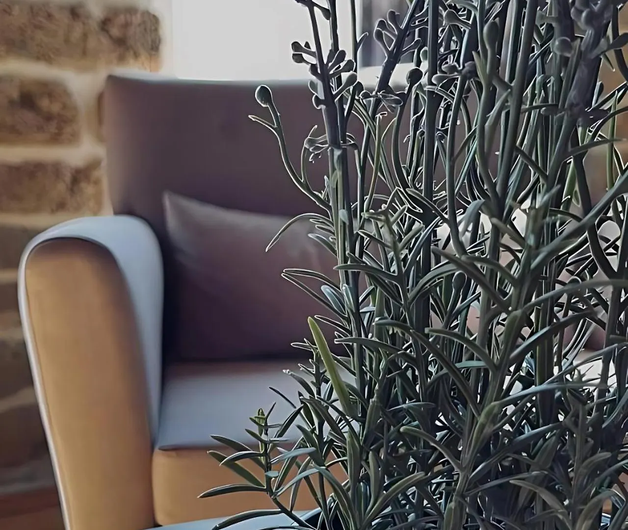 Sunday Palace Hotel Baku